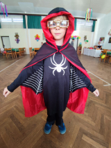 Fotogalerie Karneval 2026, foto č. 29