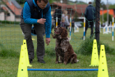 Fotogalerie Psí agility, foto č. 4
