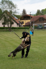 Fotogalerie Psí agility, foto č. 3